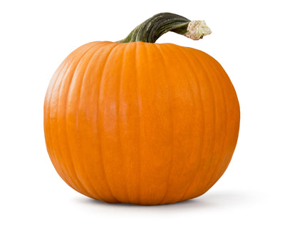 Six reasons why you need our Pumpkin Facial now!